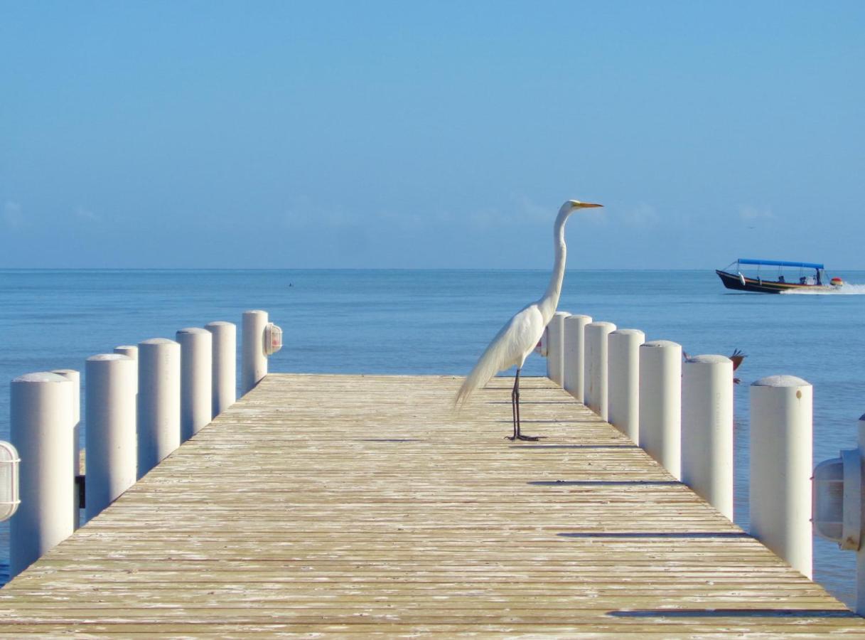 Livingston Resort Hotel المظهر الخارجي الصورة